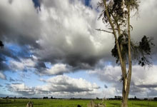 黑料05com（黑料社下载）